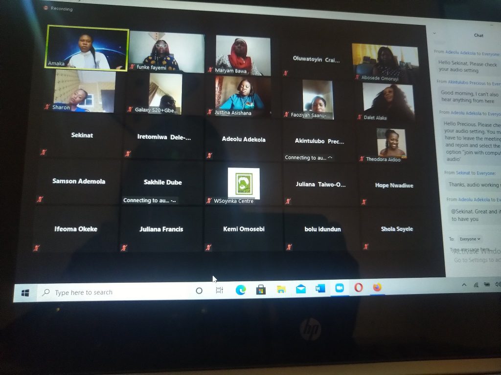 participants at the webinar